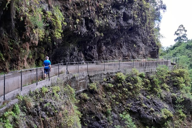 Private Guided Walk Levada Faja Dos Rodrigues Half-Day