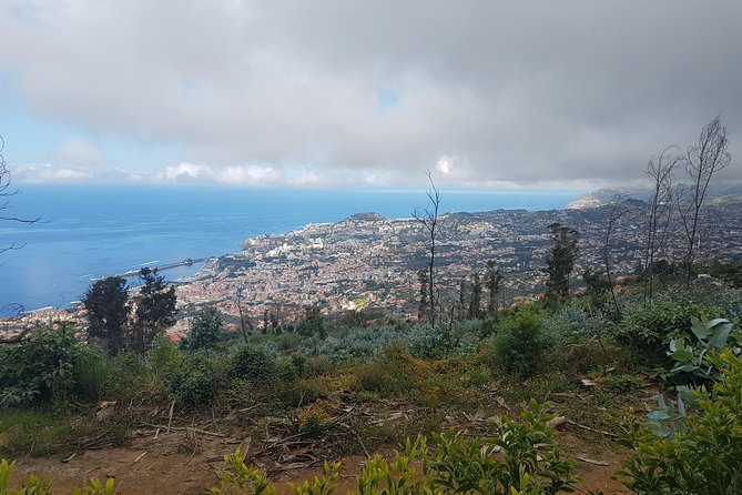 Private Guided Walk Levada Monte to Palheiro Ferreiro