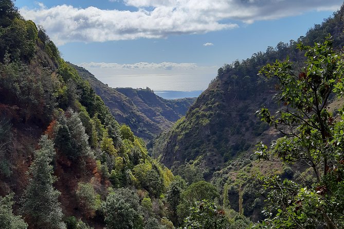 Private Guided Walk Ponta Do Sol Levada Moinho