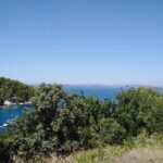 1 private half day sailing tour in zadar archipelago Private Half Day Sailing Tour in Zadar Archipelago
