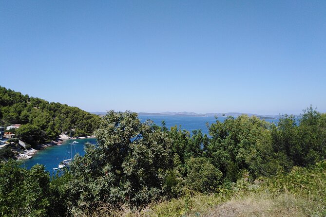 Private Half Day Sailing Tour in Zadar Archipelago