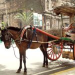 1 private half day shore excursion old manila by calesa Private Half-Day Shore Excursion Old Manila by Calesa
