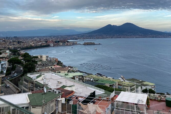 Private Half-Day Sightseeing Tour of Vesuvius National Park