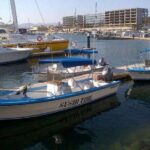 1 private half day sport fishing in los cabos Private Half-Day Sport Fishing in Los Cabos