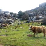 1 private hiking in el torcal from marbella or malaga Private Hiking in El Torcal From Marbella or Malaga