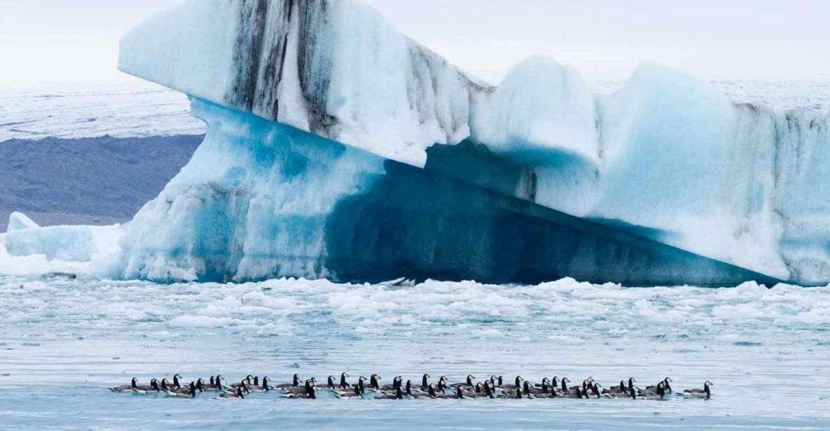 1 private jokulsarlon glacier lagoon tour Private Jökulsárlón Glacier Lagoon Tour