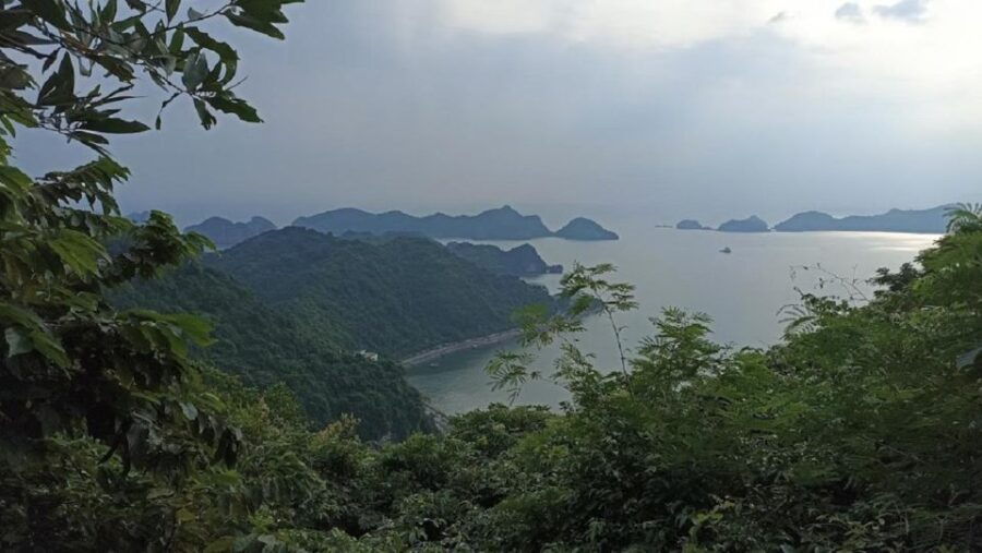 Private Lan Ha Bay Day Cruise From Hanoi With a Local Guide