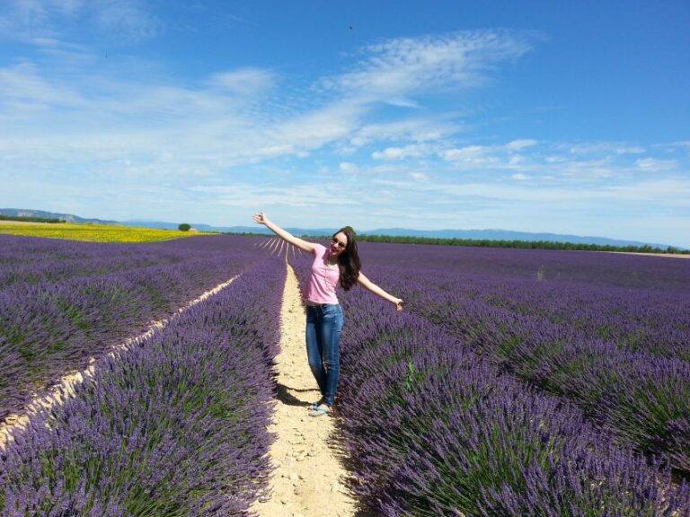 Private Lavender of Provence Tour