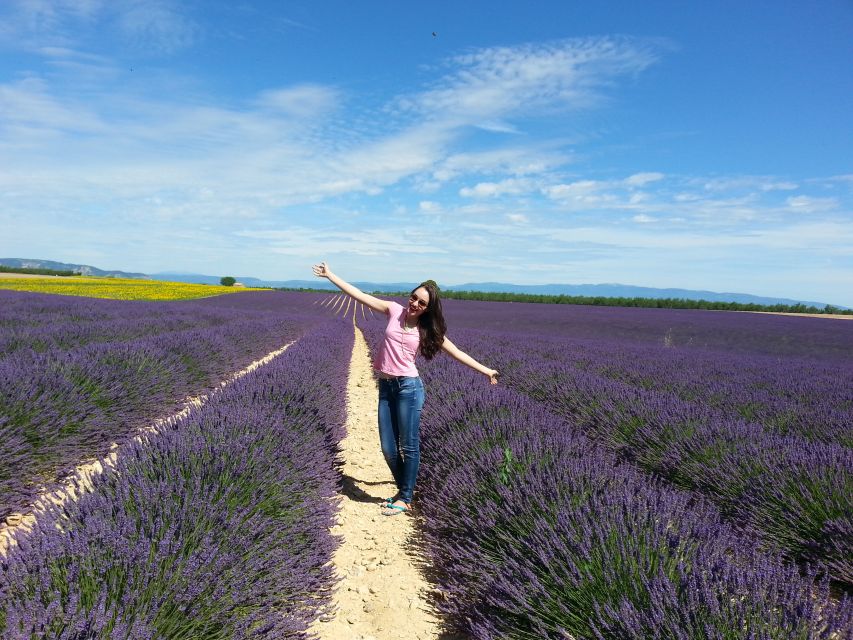 1 private lavender of provence tour Private Lavender of Provence Tour