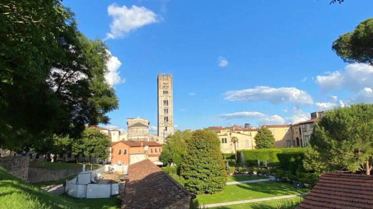 Private Lucca Wine Tour: 2 Winery With Lunch