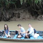 1 private mekong delta 1 day tour Private Mekong Delta 1 Day Tour