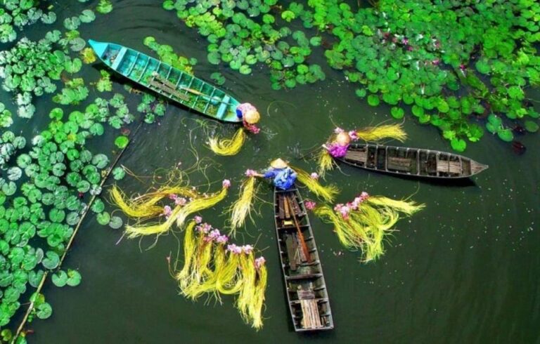 Private Mekong Delta 1 Day Tour Explore Local Life