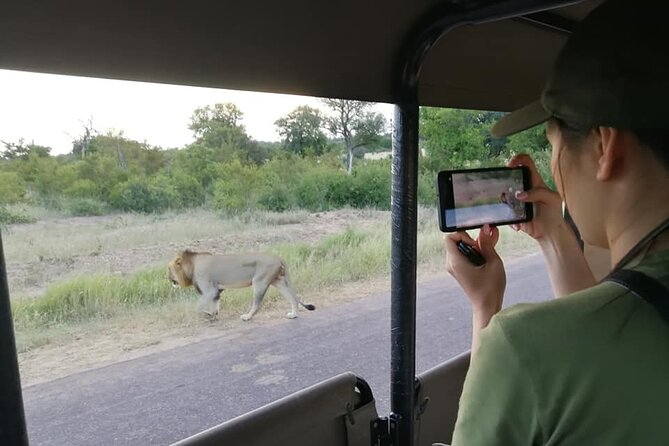 Private Morning Game Drive From Hazyview L Kruger National Park