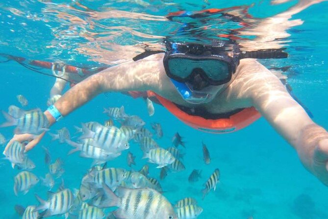 Private MUSA Snorkeling Experience at Isla Mujeres and Cancun