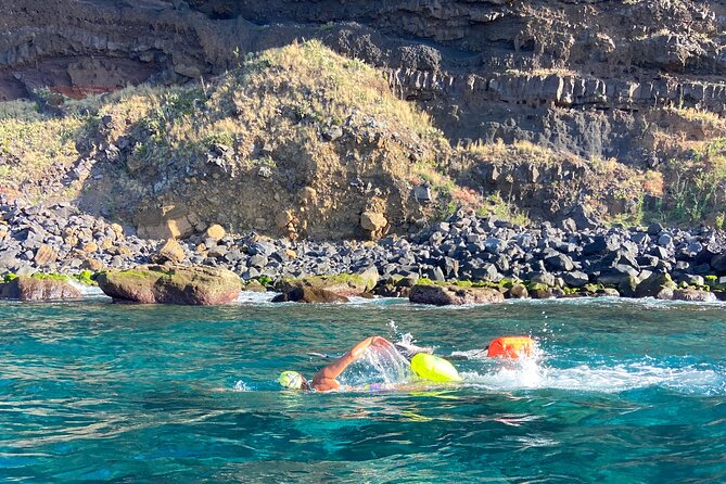 Private Open Water Swimming Experience in Madeira Island