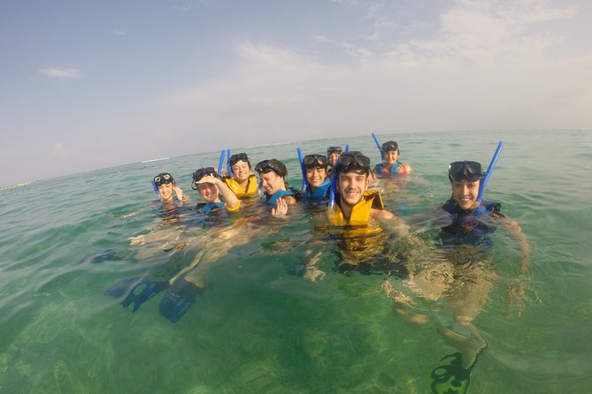 Private Snorkeling Tour With Sea Turtles at Akumal Beach  – Playa Del Carmen