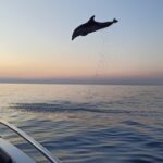 1 private sunrise dolphin watching with drinks in rovinj Private Sunrise Dolphin Watching With Drinks in Rovinj