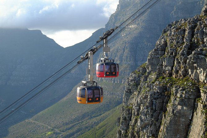 Private Table Mountain, Kirstenbosch and Constantia Wine Tasting.