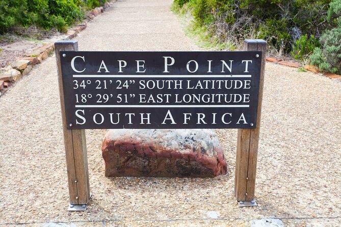 Private Table Mountain Penguins & Cape Point Tour From Cape Town