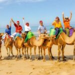 1 private tangier tour with lunch and camel ride 2 Private Tangier Tour With Lunch and Camel Ride
