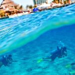 1 private three hour introductory scuba diving lesson cozumel Private Three-Hour Introductory Scuba Diving Lesson - Cozumel