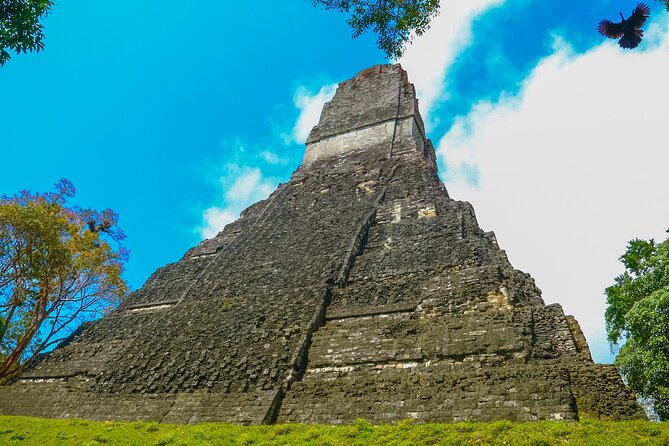 Private Tikal Mayan City Tour With Lunch