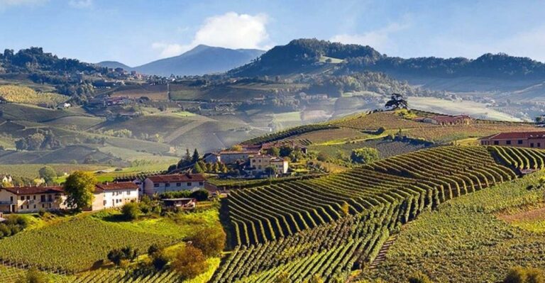 Private Tour: Barolo Wine Tasting in Langhe Area From Torino