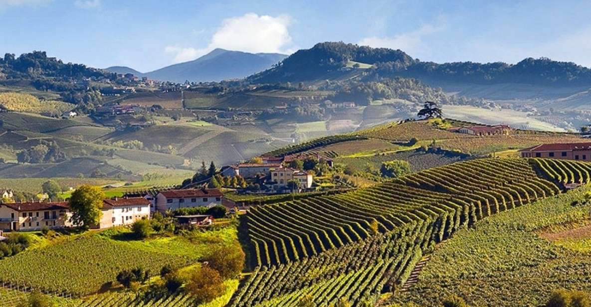 1 private tour barolo wine tasting in langhe area from torino 2 Private Tour: Barolo Wine Tasting in Langhe Area From Torino