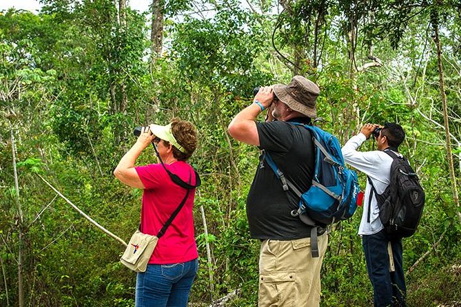 1 private tour birdwatching from cancun Private Tour: Birdwatching From Cancun