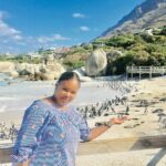 1 private tour boulders beach penguin colony and cape of good hope Private Tour: Boulders Beach Penguin Colony and Cape of Good Hope