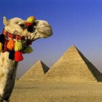 1 private tour cairo day trip from sharm el sheikh by private coach Private Tour: Cairo Day Trip From Sharm El Sheikh by Private Coach