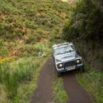 1 private tour combo expedition jeep tour levada walk full day tour Private Tour: Combo Expedition (Jeep Tour & Levada Walk) - Full Day Tour