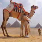 1 private tour giza pyramids sphinx memphis saqqara and camel ride Private Tour Giza Pyramids, Sphinx, Memphis, Saqqara and Camel Ride