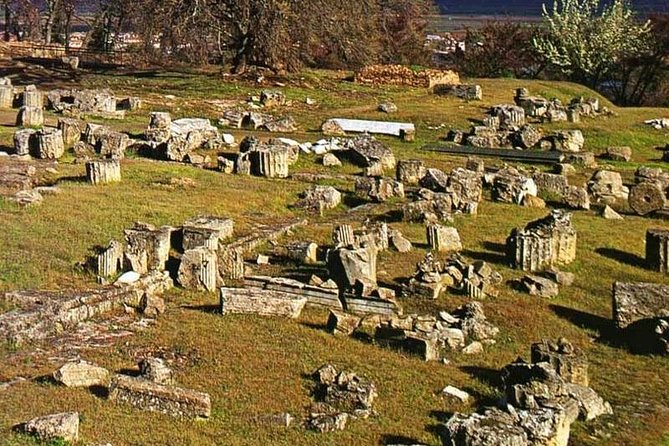 1 private tour half day vergina Private Tour: Half Day Vergina