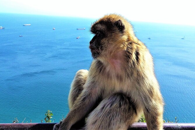 Private Tour in Gibraltar & Mijas From Malaga
