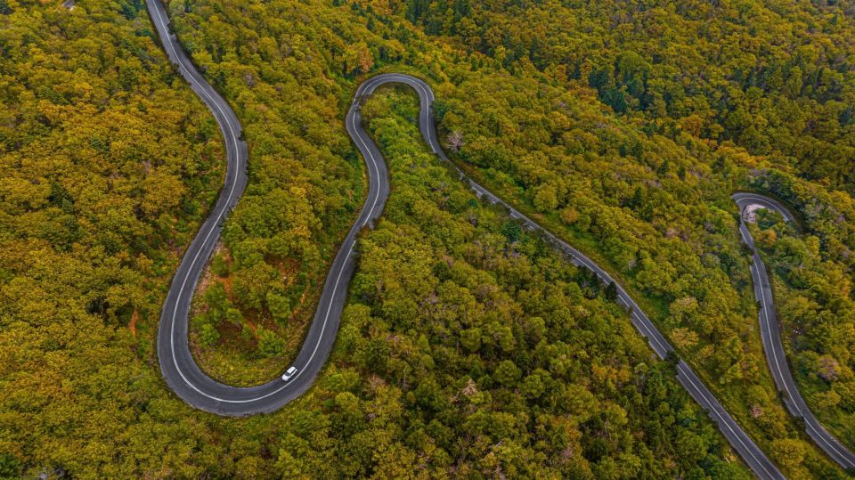 Private Tour in the Chestnut Forest of Steni Evia