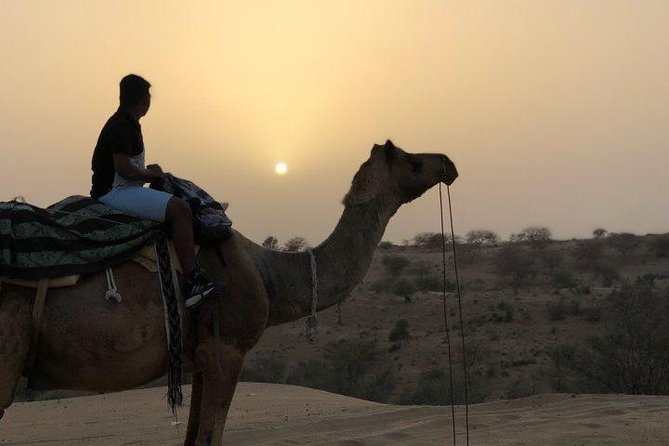 Private Tour of Bishnoi Villages With Desert Safari