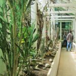 1 private tour of godawari botanical garden including lunch Private Tour of Godawari Botanical Garden Including Lunch