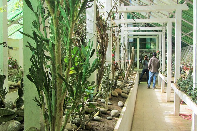 Private Tour of Godawari Botanical Garden Including Lunch