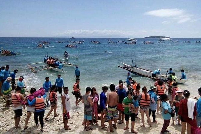 Private Tour: Oslob Cebu Whale Shark Experience