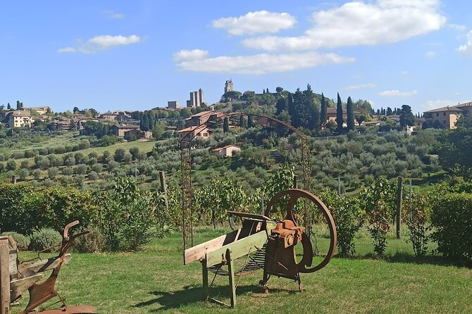 1 private tour sweet hills of chianti and san gimignano with lunch 2 tastings PRIVATE TOUR "Sweet Hills of Chianti and San Gimignano" With Lunch & 2 Tastings