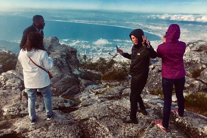 Private Tour: Table Mountain, Penguin Colony & Cape of Good Hope Incl. Park Fees
