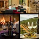 1 private tour to 15 wine tasting in stellenbosch and franschhoek Private Tour to 15 Wine Tasting in Stellenbosch and Franschhoek