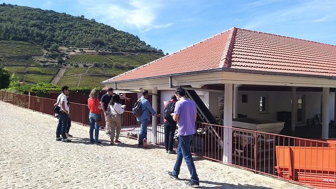 Private Tour to the Rock Art of Côa Park, Pinhão and Winery - Pricing and Booking Details