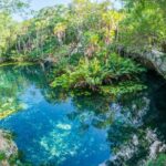 1 private tour turtle experience and cenote swim Private Tour Turtle Experience and Cenote Swim