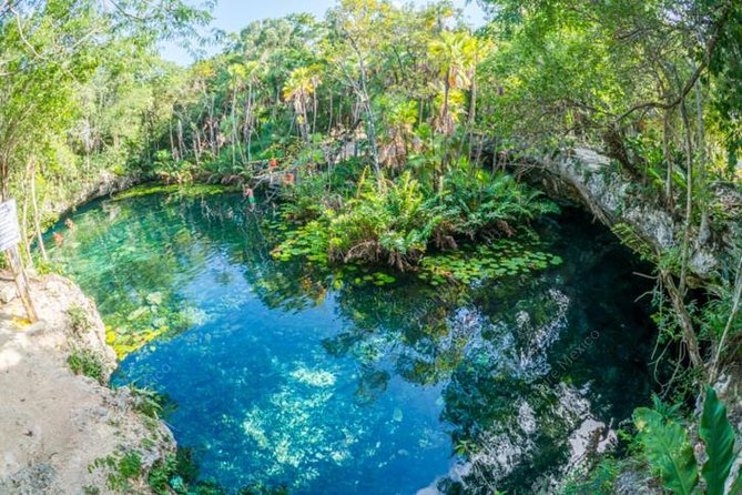 Private Tour Turtle Experience and Cenote Swim