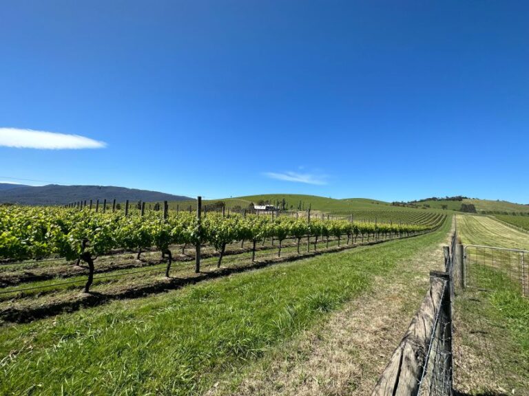Private Tour: Yarra Valley Wine, Cheese, Gin & Chocolatrie