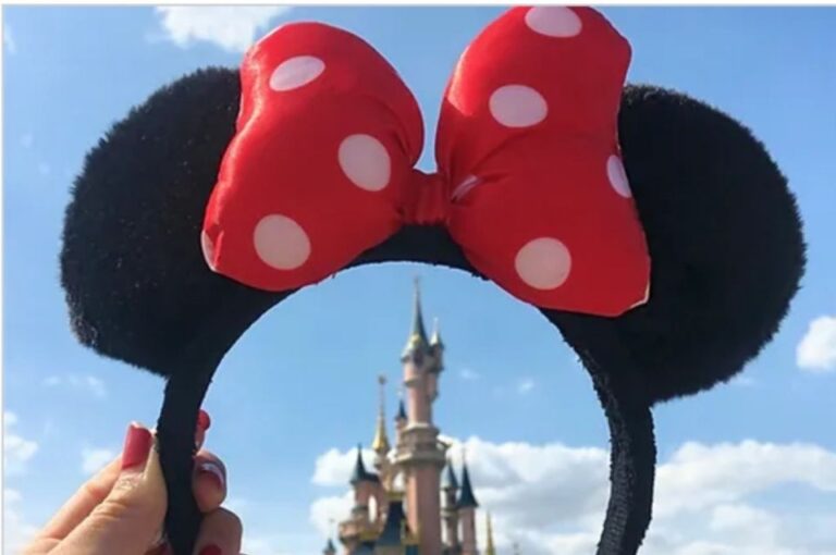 Private Transfer CDG and Orly Airports To/From Disneyland