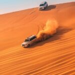 1 private transfer dubai red dunes desert safari with live shows and bbq dinner Private Transfer Dubai Red Dunes Desert Safari With Live Shows and BBQ Dinner