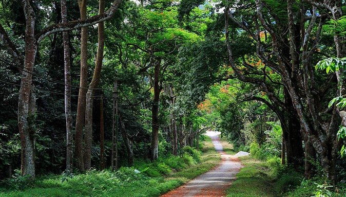 1 private transfer hanoi to ba vi national park two ways full day Private Transfer Hanoi to Ba Vi National Park Two Ways Full Day